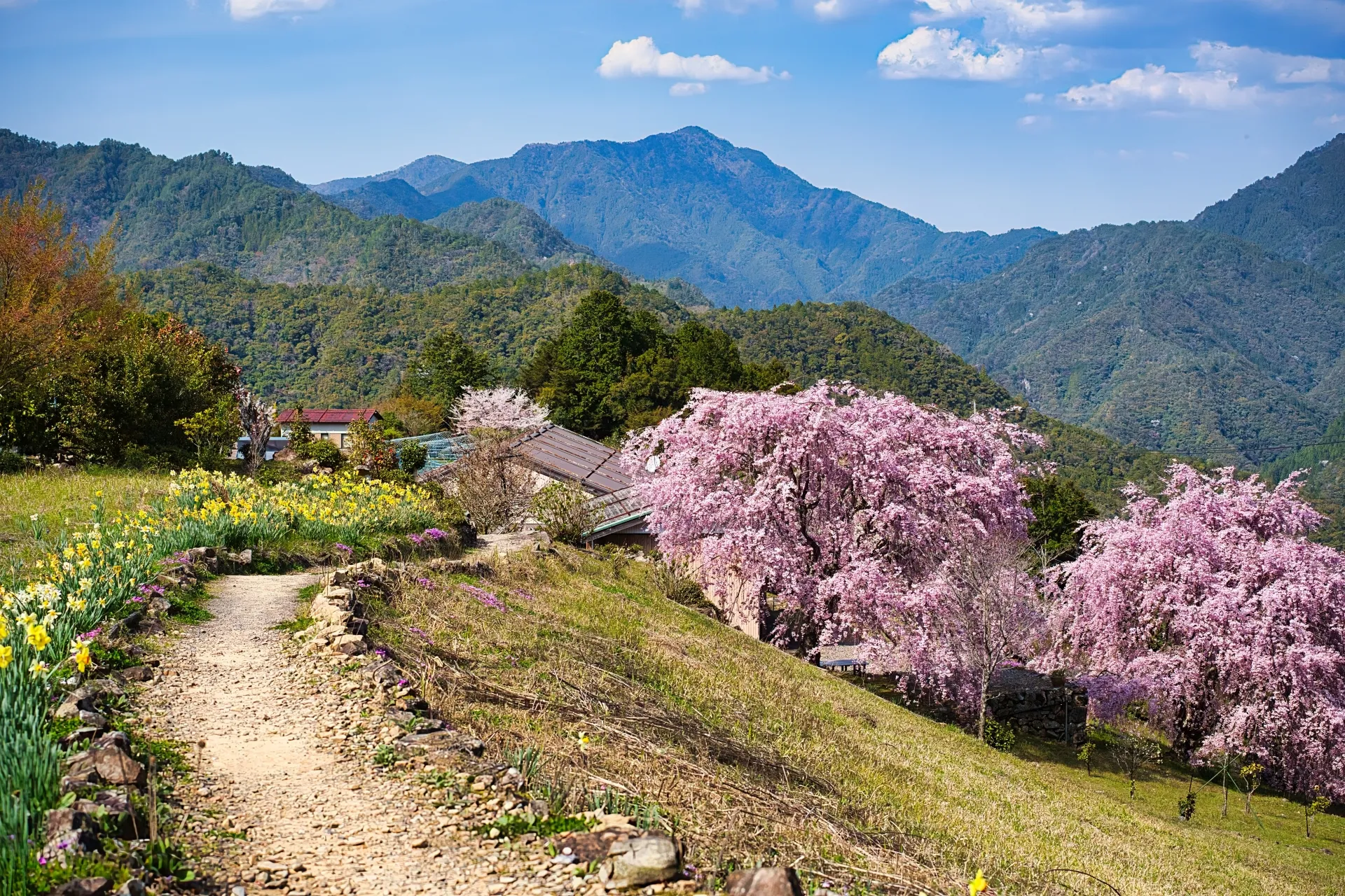 世界遺産・熊野参詣道「小辺路(こへち)」