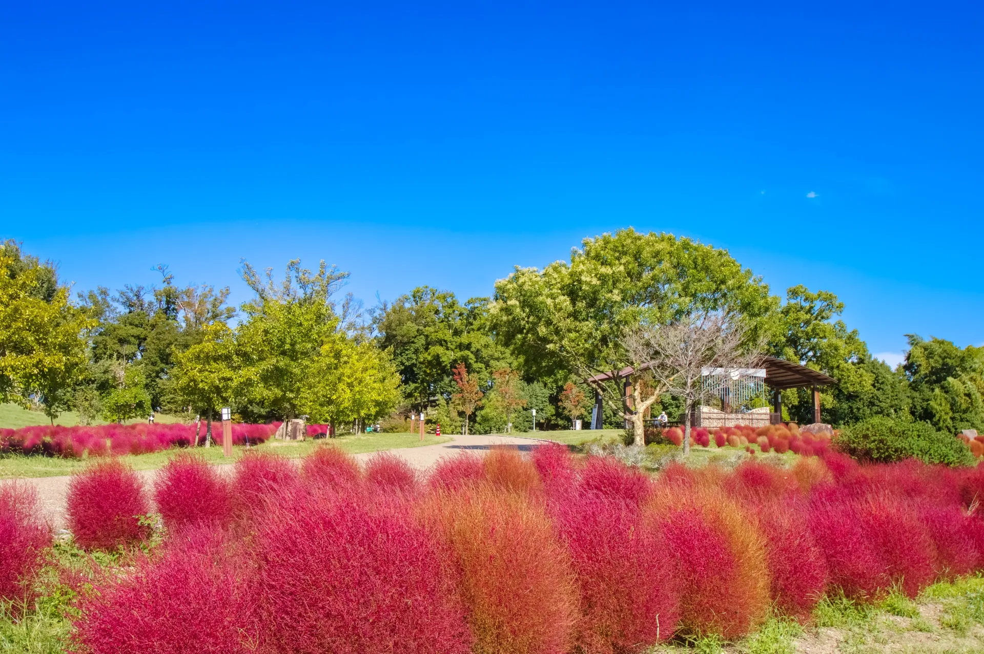奈良県営 馬見丘陵公園