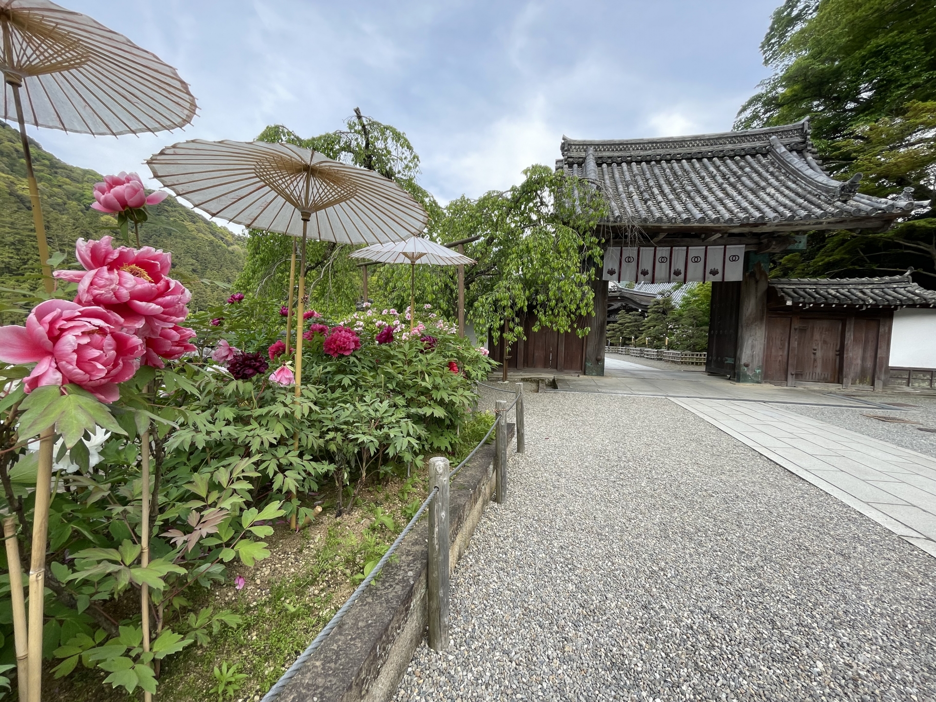 長谷寺
