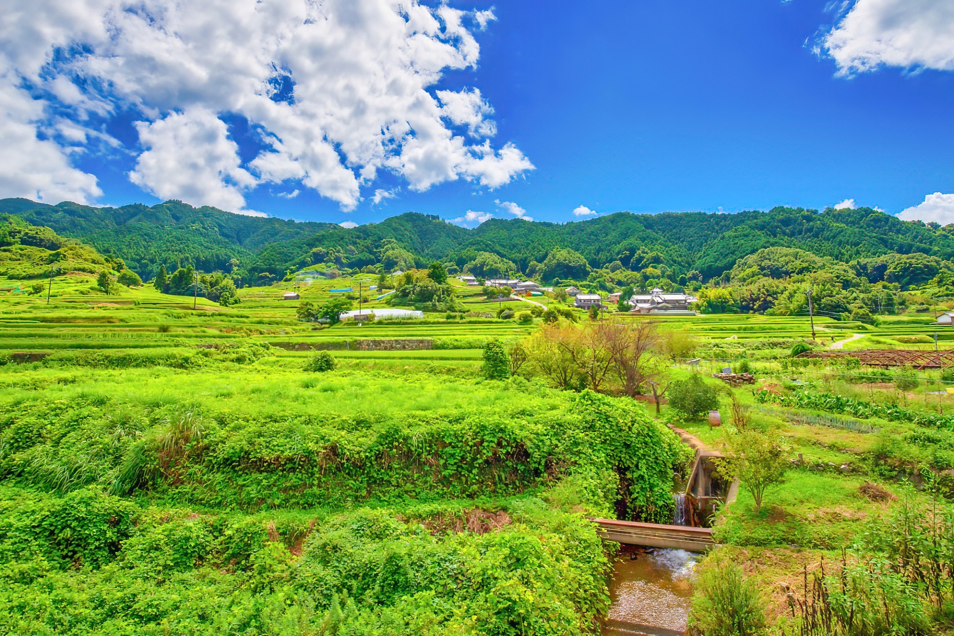 奈良県明日香村