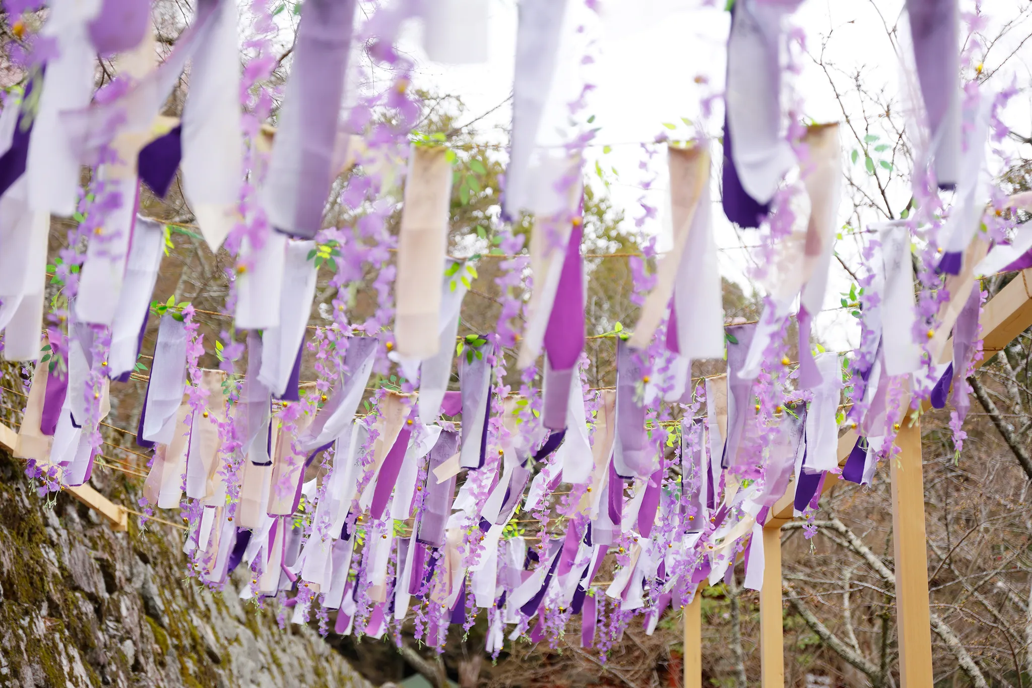 恋神社 結びの藤棚