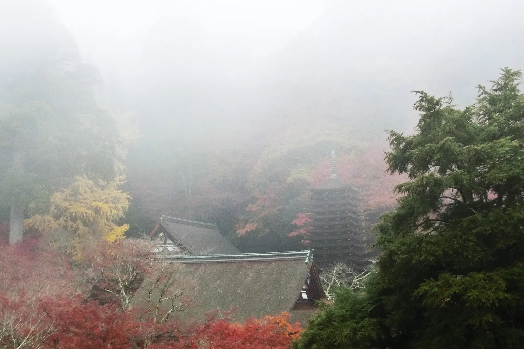霧の談山神社